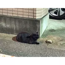 あーだこーだそら