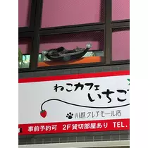 きき
