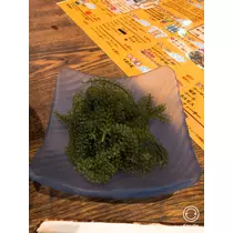 宝條 夏恋