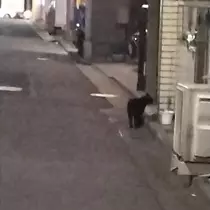 あやの