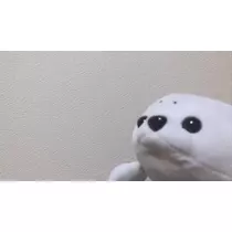 ちあき