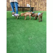 あいりちゃん