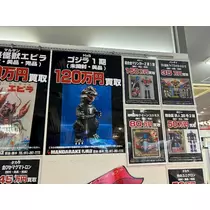佐倉 里緒