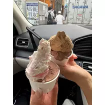 紬 むぎ