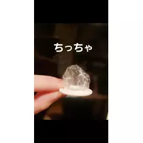 紫音