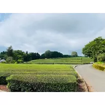 ゆかり
