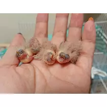 ちよママ