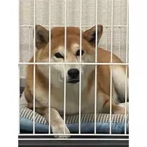 みり