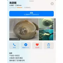 七星 夏純
