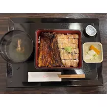 涼風 あき