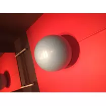 如月 凛