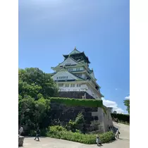 大園 桃子
