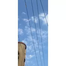 桜井 ここみ