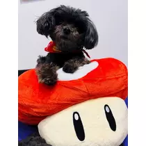 あ