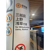 せいか