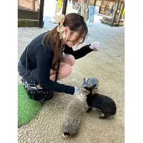 えり