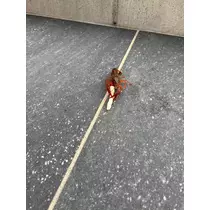 まい