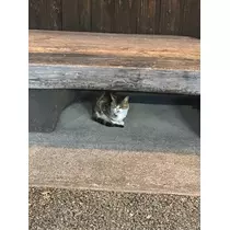 るな