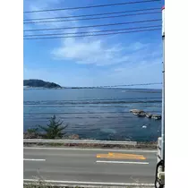 サヤ