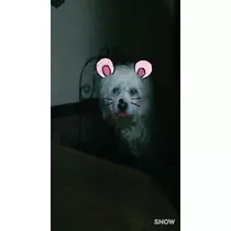 ユカ