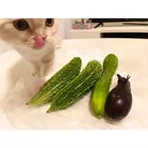 あおい