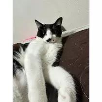 愛望