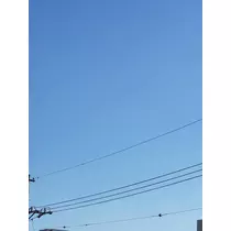 エミ （スタッフ）