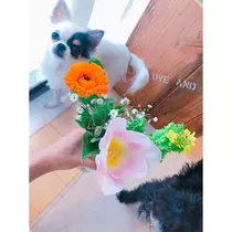 じゅん