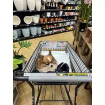 あいら