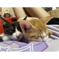 ゆう