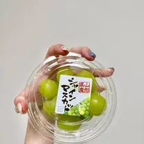 乙川 ゆあ