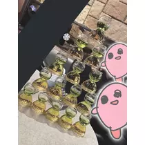 美城 胡桃