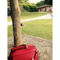 ゆかり