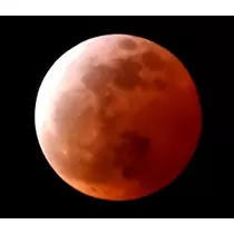 美穂