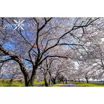 神崎　唯