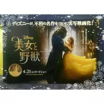 紫音