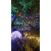 七星 ゆめ