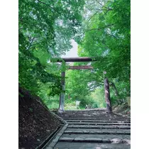 夏目 梨仔