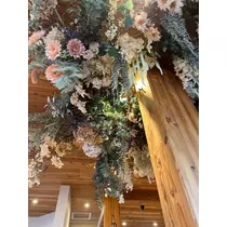 花音