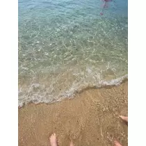 ミユ