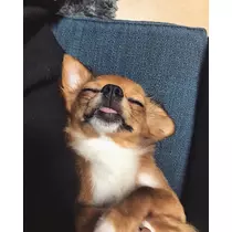 ユカ