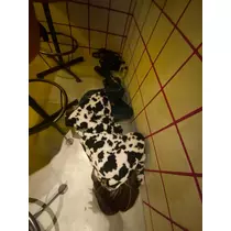 ナナ