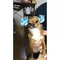 ユカ