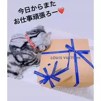 夢乃 サラ