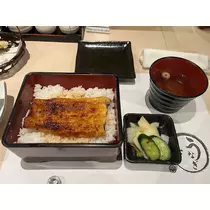 芹沢 莉瀬