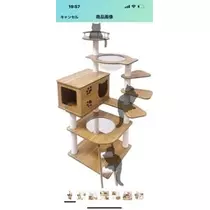 桐島 りゅう