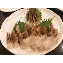 紫月 あやか