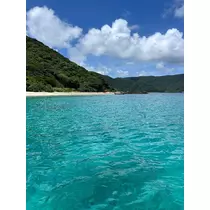 ふうか