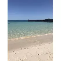 愛羽 仁美