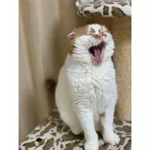れみ